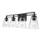 Z-Lite Lyna Vanity, 4-Light, 30.5 In.W x 6.5 In.L x 9 In.H, Matte Black/Clear 823-4V-MB - alternate 8